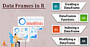 How to create, index and modify Data Frame in R? - TechVidvan
