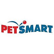 Rabbit Supplies & Accessories Checklist | PetSmart