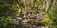 10 Years of East Bay Restoration with Garber Park Stewards Tickets, Multiple Dates | Eventbrite
