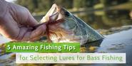 How to go for fishing lures for bass fishing?