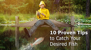 10 steps and you become masters of Fishing