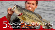 5 important things that will help you in catching a big smallmouth fish