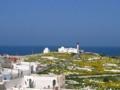 travel in tunisia | RedGage
