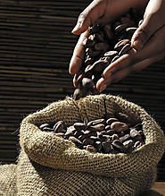 largest coffee exporter in the world | largest exporter of coffee