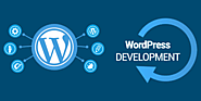 wordpress development services | custom wordpress development company