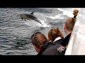 Doubtful Sound Wilderness Cruises - Real Journeys, New Zealand