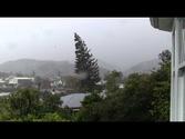 Nelson, New Zealand, 17 April 2014, Collingwood Street tree falls