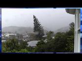 Falling Tree Nelson New Zealand cyclone iTA Derek Sivers 17 April 2014