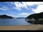 Picton NZ Every Beat Of My Heart