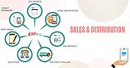 Sales and Distribution Software Service at Affordable Cost