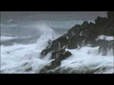 The Snares Islands: Cradle of the Southern Ocean || Trailer