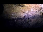 Glowworms in Mitchells Gulley Goldmine, South Island, New Zealand