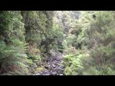 Rakiura Track - Stewart Island New Zealand - Day 2