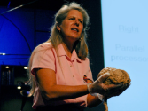 Jill Bolte Taylor's stroke of insight | Video on TED.com