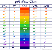 pH scale of acid and base
