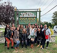 Wine Tours in Long Island, NY