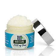 BSB Cure 2500 mg CBD Hemp Extract Pain Balm Topical (2 oz)