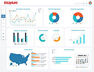 Sales Reporting & Analytics Software | Sales Reporting Tool | Kapture CRM UAE