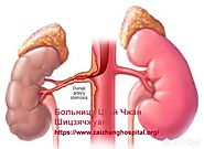 Website at https://www.zaizhanghospital.org/kidney-disease-treatment/184.html