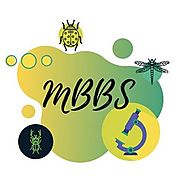 MBBS Abroad Value In India - iGraduate