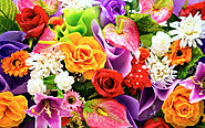 Send Flowers to Hyderabad – Florist in Hyderabad Online | GIFTCARRY