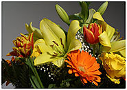 Send Same Day Flowers Delivery in Kolkata – Florist in Kolkata Online