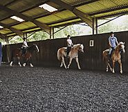 Horse Riding for Beginners, Flat Lessons for Beginners & Advanced