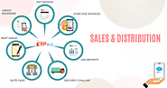 Sales and Distribution System - TheERPHub
