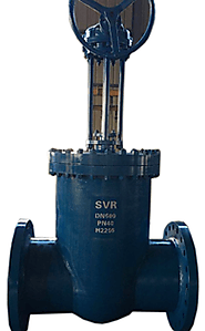Dual Disc Check Valve Manufacturer In Germany