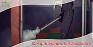 Mosquito Pest Control Services In Whitefield Bangalore by Professional Team