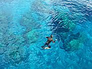 Snorkelling