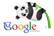 How To Stay Away From Google Panda