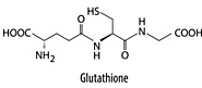 Benefits of Glutathione Injections and Suppositories - The HCG Institute