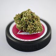 Buy Space Wrangler Cannabis - Medical Cannabis Online
