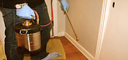Cockroach Control in Gurgaon - Cockroaches Pest Control Services in Gurgaon