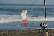 Best surf fishing rods amazing collection are available in 2019