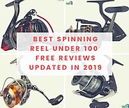 Best spinning reel under 100 I Free Reviews Updated in 2019