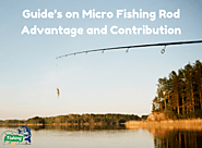 Free Guideline On Micro Fishing Rod And Pocket Fishing Pole