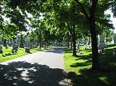 Forest Lawn Cemetery (Buffalo)