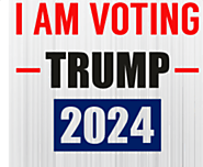 Buy USA 2024 Election SVG CUT Files Online