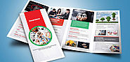 Insurance Brochure Design - Insurance Brochure Template