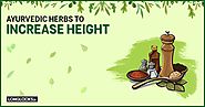 10 Best Ayurvedic Herbs to Increase Height [Grow Taller]