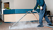 Website at https://www.dgcleaningandcarpetcare.com