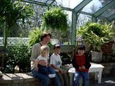 Wings of Mackinac | Welcome to the Wings of Mackinac web site. Our beautiful butterfly conservatory is located on his...