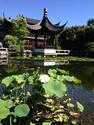 http://en.wikipedia.org/wiki/Lan_Su_Chinese_Garden