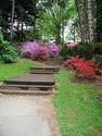Highland Park (Rochester, New York) - Wikipedia, the free encyclopedia