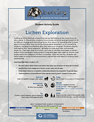Lichen Exploration - Beetles Project Focused Exploration