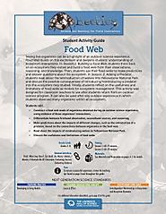 Food Web - Beetles Project Classroom Activity