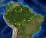 http://en.wikipedia.org/wiki/Amazon_rainforest
