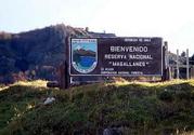 Reserva nacional Magallanes